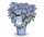 Rispenhortensie, Bloombuster, blau