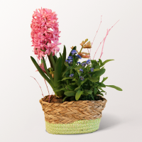 Fr&uuml;hlingspoesie im Korb