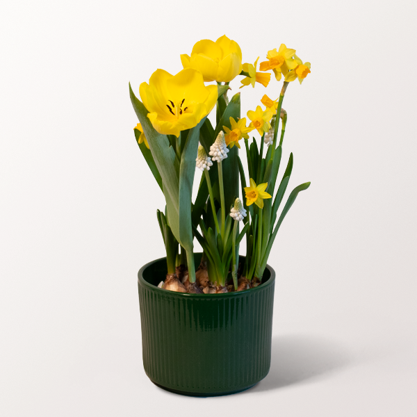 Oster&uuml;berraschung im Topf