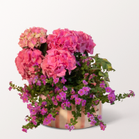 Fr&ouml;hliches Sommerallerlei