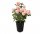 Rose Augusta Luise