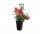 Rose Queen of Hearts
