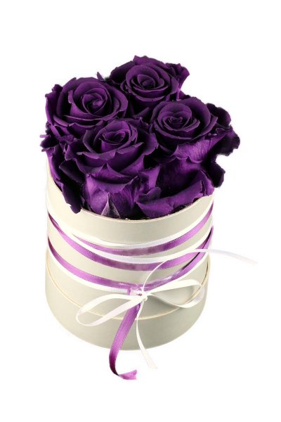 4 lila haltbare Rosen in Hutschachtel